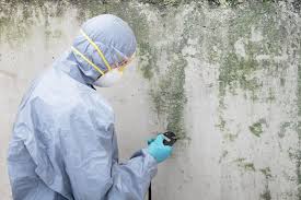 Best Airborne Mold Testing  in Stony Prairie, OH